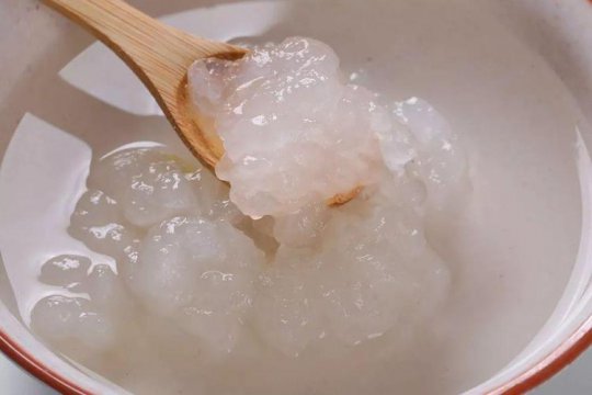 雪蛤是什么东西（雪蛤有哪些营养价值）
