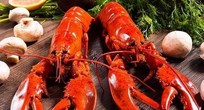 龙虾的血是什么颜色的