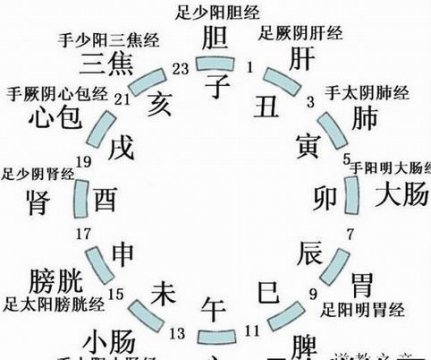 十二时辰对应的时间（十二时辰在古代都是什么时辰）