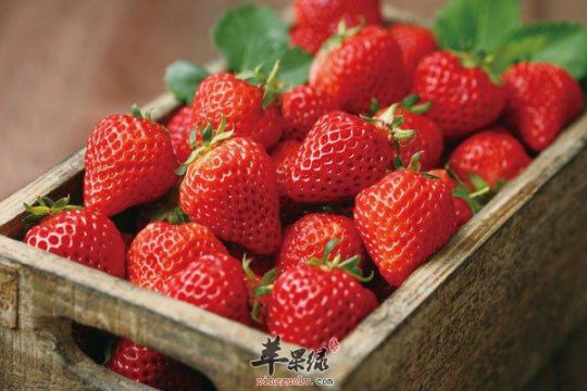 春天的时令水果有哪些