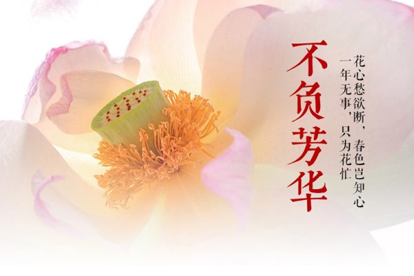 葛宏军-不负芳华，花卉摄影技法完全宝典后期课程