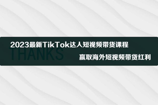 2023最新TikTok达人短视频带货课程，赢取海外短视频带货红利
