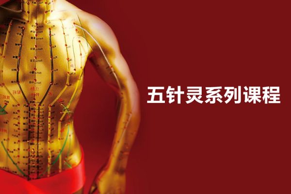 五针灵系列课程