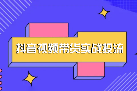 抖音视频带货实战投流（视频14讲）