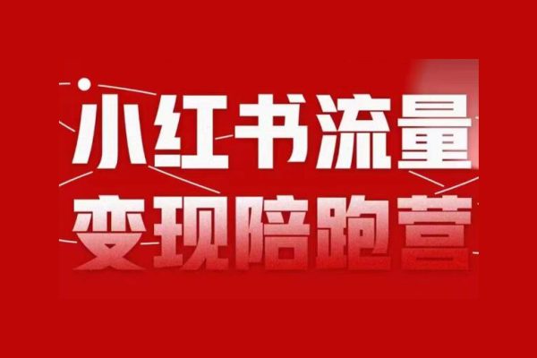 盗坤第8期小红书流量变现陪跑营