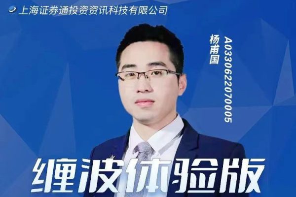 杨甫国-缠波体验版