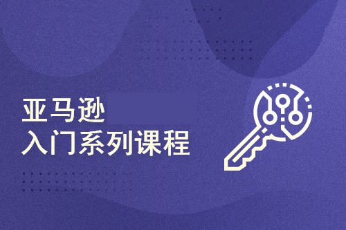 亚马逊套利系列课程