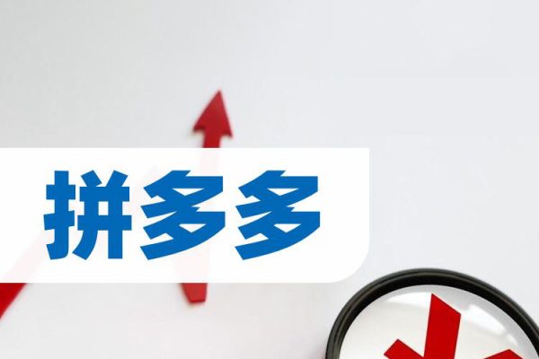 2024拼多多日销0-100单实操