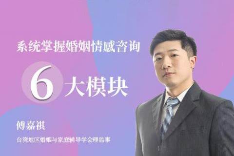 傅嘉祺 系统掌握婚姻情感咨询6大模块52集视频课程