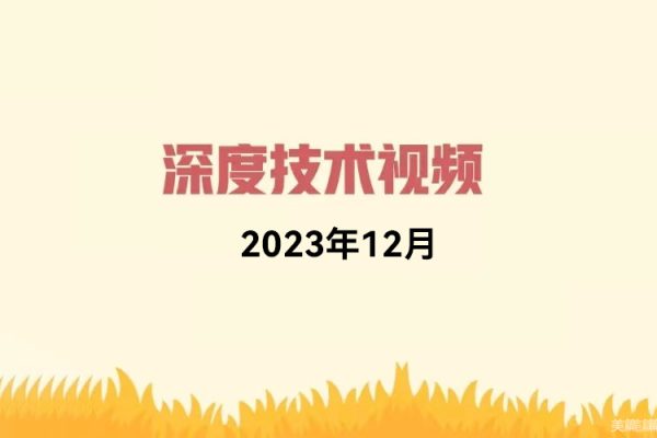 天机短线深度技术视频 2023年12月