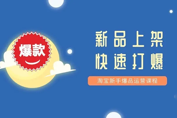 电商新品从上架到打爆【推广+运营】，新手从0打爆款