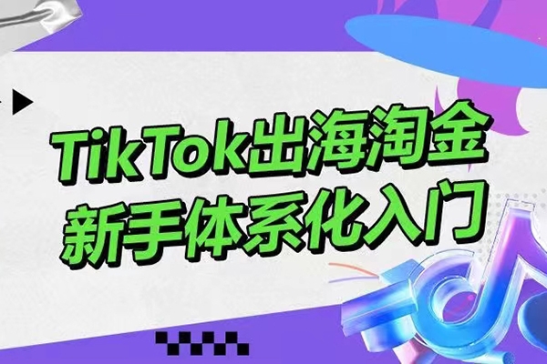 大彬TikTok出海淘金，新手体系化入门，零基础快速入门，掌握短视频、直播带货等引流到变现的知识