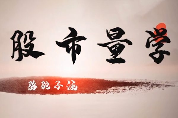股市量学骆驼子涵大盘系统课程