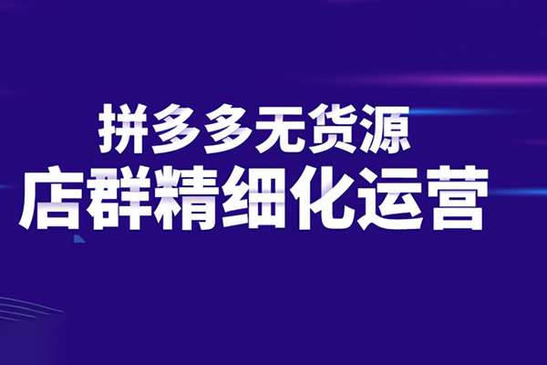拼多多精细化运营店铺0-1，从零起步到爆单详细教程