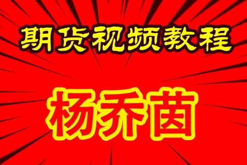 杨乔茵落地课合集期货训练营