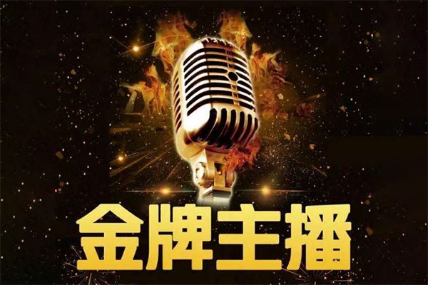 谢大嘴2025年进阶金牌主播课，抖音的推流算法逻辑