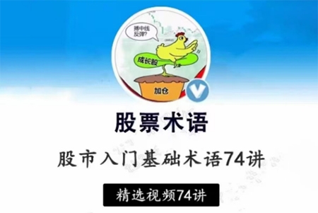 张一山-炒股基础入门股市基础术语精讲74集
