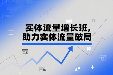 兰姐-实体流量增长班