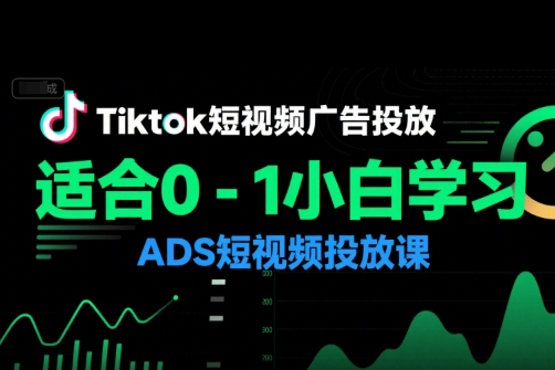 万三老师·Tiktok短视频广告投放