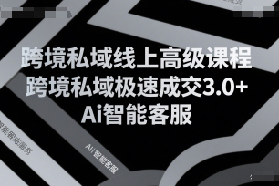 跨境私域线上高级课程，跨境私域极速成交3.0+Ai智能客服