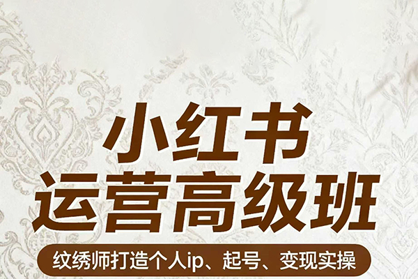 伊伊小红书运营高级班 纹绣师打造个人ip、起号、变现实操