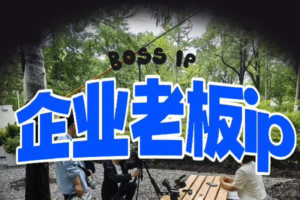 老板创业全案创业者的融资策略与思维迭代