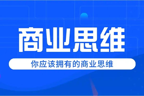 lisa【商业思维】从CEO视角出发做对经营决策