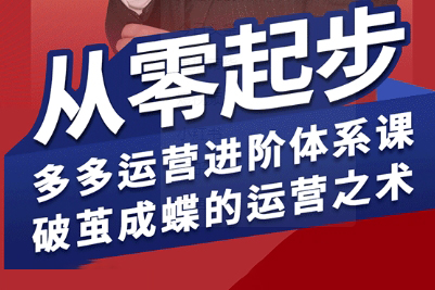 海神·拼多多运营进阶系统课，从零起步，多多运营进阶体系课，破茧成蝶的运营之术