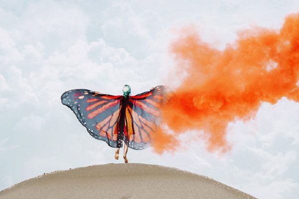 乌鸦-Jewey翼摄影第3期+第2期