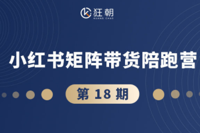 盗坤·抖音小红书视频号短视频带货与直播变现（11