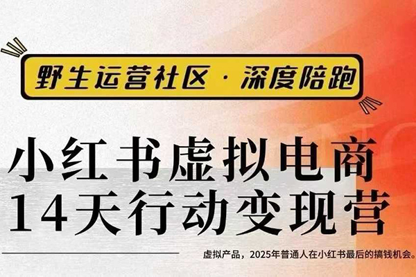 小红书虚拟电商14天变现训练营3.0，虚拟产品，2025年普通人在小红书最后的搞钱机会