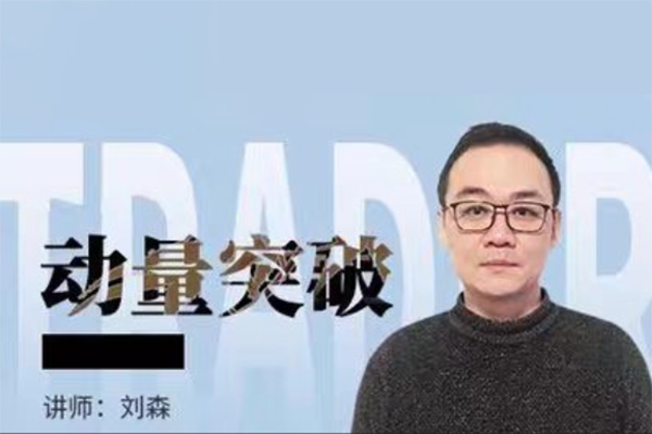 刘森动量突破21天交易员养成八期