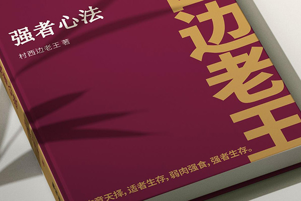 村西边老王本质心法7.0，视频课+《本质心法》电子版