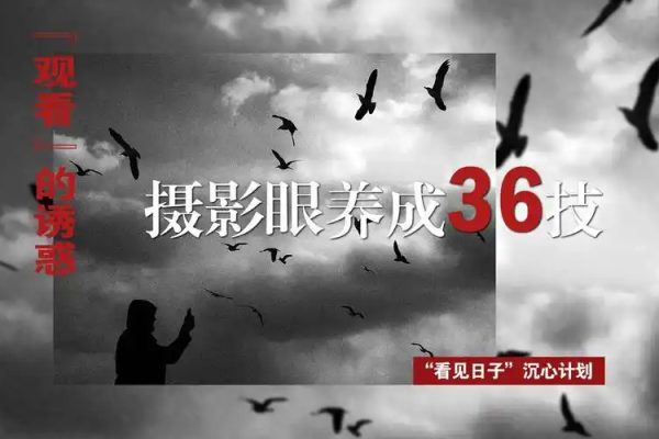 摄影眼养成36技+影像创作社区王建章的摄影课