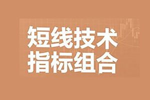 谭记恩指标实战运用精讲之强弱篇